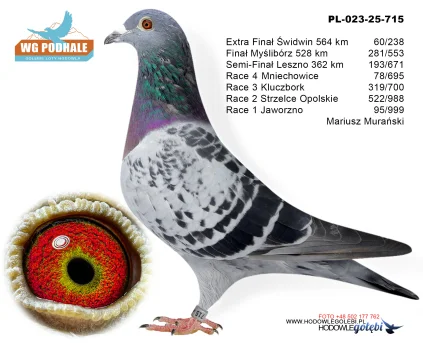 60 m./ extra finał Marisz Murański PL-023-25-715