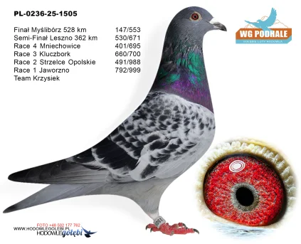 147 m./ finał Team Krzysiek PL-0236-25-1505