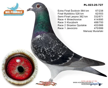 62 m./ finał Marisz Murański PL-023-25-727