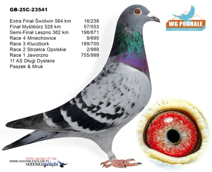 16 m./ extra finał Paszek&Mruk GB-25C-23541