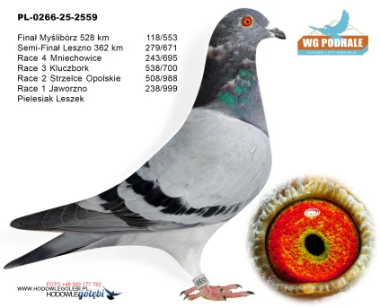 118 m./ finał Pielesiak Leszek PL-0266-25-2559