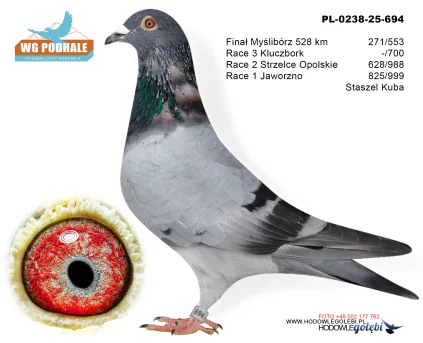 271 m./ finał Staszel Kuba PL-0238-25-694