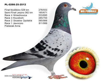 276 m./ finał Pielesiak Anna PL-0266-25-2512