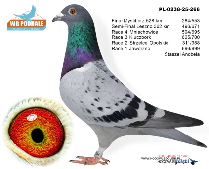 284 m./ finał Staszel Andżela PL-0238-25-266