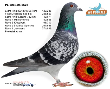 129 m./ extra finał Pielesiak Anna PL-0266-25-2527