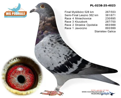 267 m. /finał Stanisław Galica PL-0238-25-4023