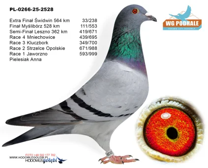 33 m./ extra finał Pielesiak Anna PL-0266-25-2528