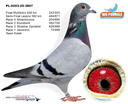 242m. / finał Team Kotek PL-0203-25-3807