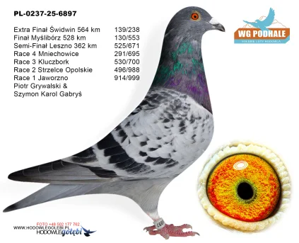 130m./ finał Piotr Grywalski & Szymon i Karol Gabryś PL-0237-25-6897