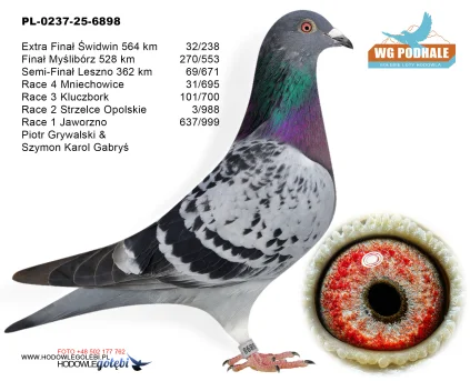 32m. / extra finał Piotr Grywalski & Szymon i Karol Gabryś PL-0237-25-6898