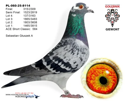 Sebastian Głuszek A PL-060-25-8114
