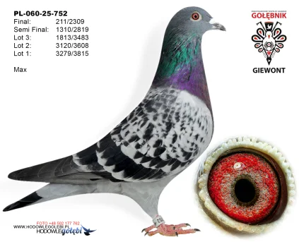 211m./final Max PL-060-25-752