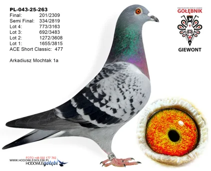201m./final Arkadiusz Mochtak 1a PL-043-25-263