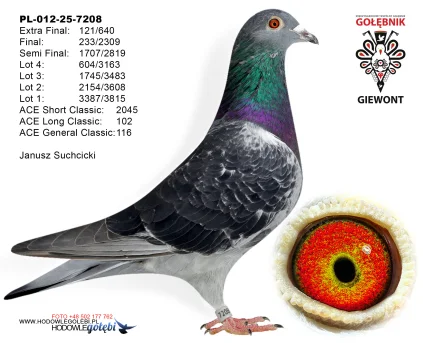 121m./extra final Janusz Suchcicki PL-012-25-7208