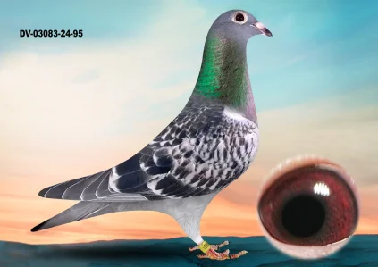 Yevheniy Gudz DV-03083-24-96