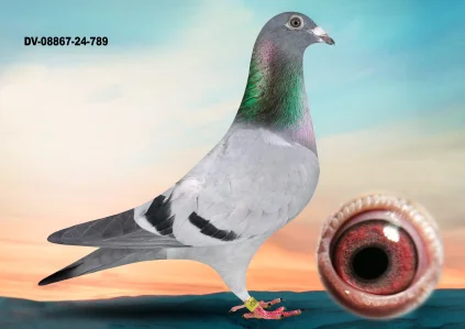 Yevheniy Gudz DV-08867-24-789