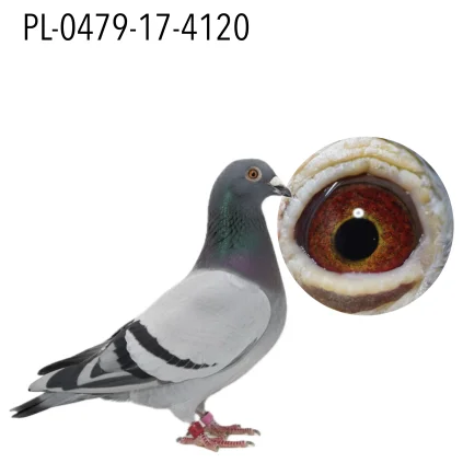 Krzysztof Zymlinski PL-0479-17-4120