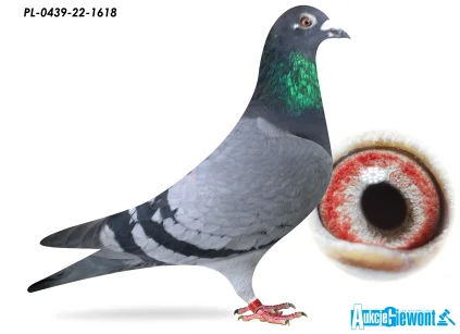 STANISŁAW BOBEK PL-0439-22-1618