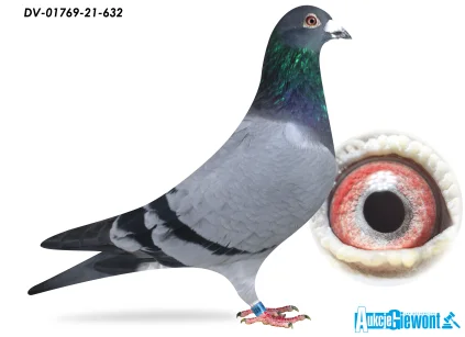 W . DRAPA DV-01769-21-632