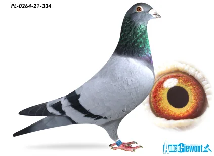 MAREK TRZASKA PL-0264-21-334