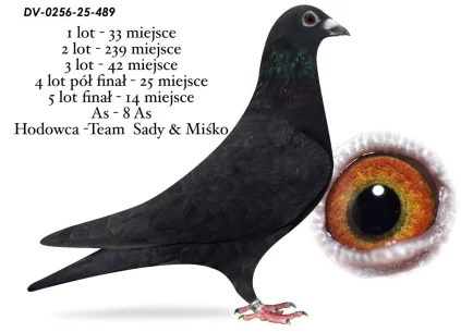 14 m./FINAŁ TEAM SADY &MISKO DV-0256-25-489