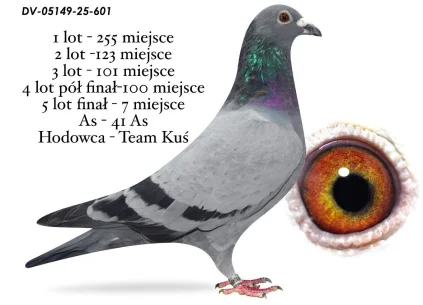 7 m./ FINAŁ TEAM KUŚ  DV-5149-25-601