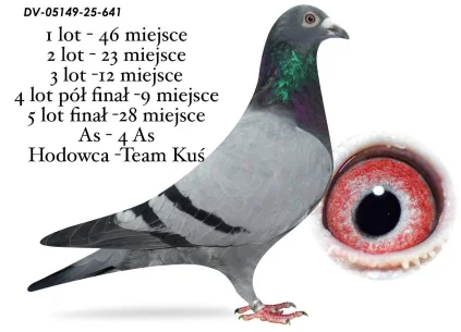 28 m. FINAŁ TEAM KUŚ DV-05149-25-641