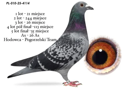 35 m./ FINAŁ POGORZELSKI TEAM  PL-010-25-4114