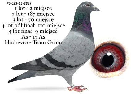 9 m./ FINAŁ TEAM GROM  PL-023-25-2889