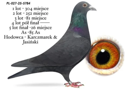 26 m./ FINAŁ KARCZMAREK &JASIŃSKI PL-027-25-5784