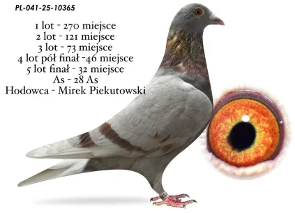 32 m. /FINAŁ MIREK PIEKUTOWSKI PL-041-25-10365