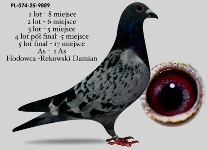 17 m. / FINAŁ REKOWSKI DAMIAN  PL-074-25-9889