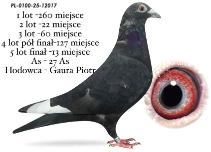 13 m. / FINAŁ GAURA PIOTR  PL-0100-25-12017