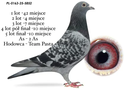 10  m. / FINAŁ TEAM PASTA PL-0163-25-5852