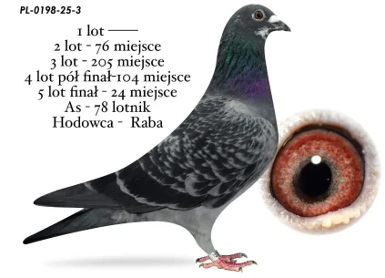 24 m. / FINAŁ RABA  PL-0198-25-3