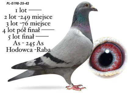 DOLOT / RABA  PL-0198-25-42