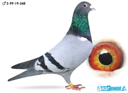 Karolina & Marian Łaś S-99-19-548