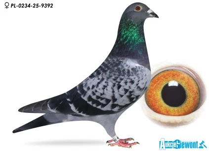 Karolina & Marian Łaś PL-0234-25-9392