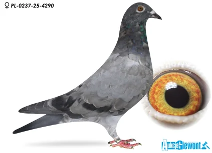 Karolina & Marian Łaś PL-0237-25-4290