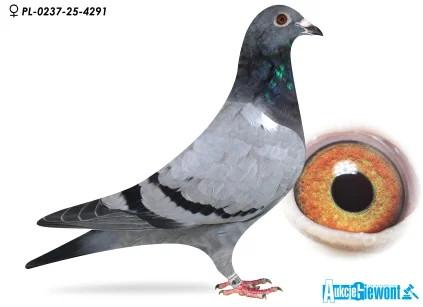 Karolina & Marian Łaś PL-0237-25-4291