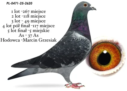 5 m./ FINAŁ MARCIN GRZESIAK  PL-0471-25-2620