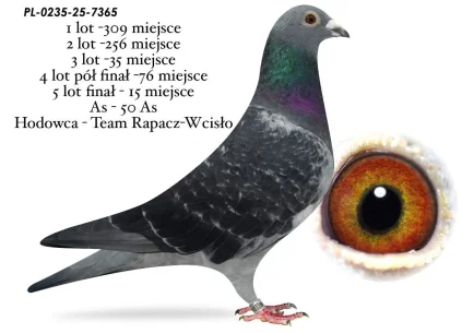 15 m./ FINAŁ TEAM RAPACZ WCISŁO PL-0235-25-7365