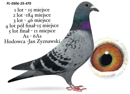 11 m./ FINAŁ JAN ZYZNAWSKI  PL-0506-25-470