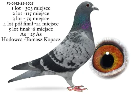 6 m. / FINAŁ TOMASZ KOPACZ PL-0442-25-1005
