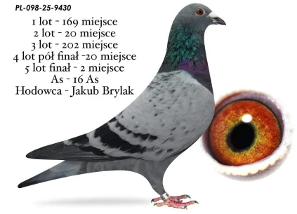 2 m./ FINAŁ JAKUB BRYLAK  PL-098-25-9430