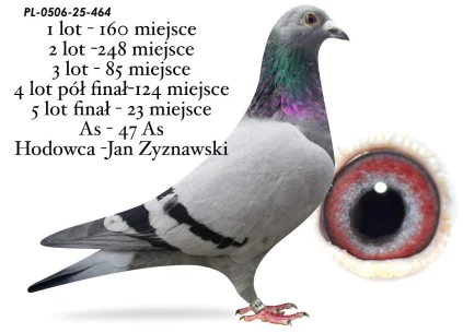 23 m./ FINAŁ JAN ZYZNAWSKI PL-0506-25-464
