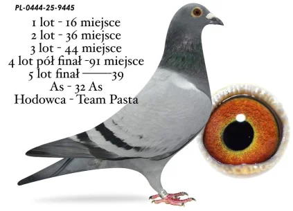 39 m./ FINAŁ TEAM PASTA PL-0444-25-9445