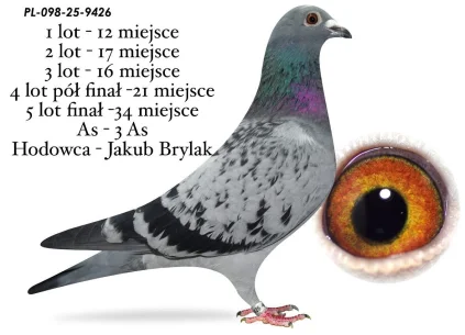 34 m./ FINAŁ JAKUB BRYLAK PL-098-25-9426