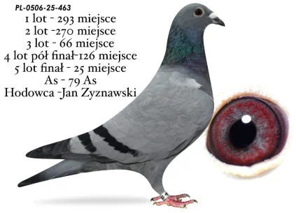 25m,/ FINAŁ JAN ZYZNAWSKI PL-0506-25-463