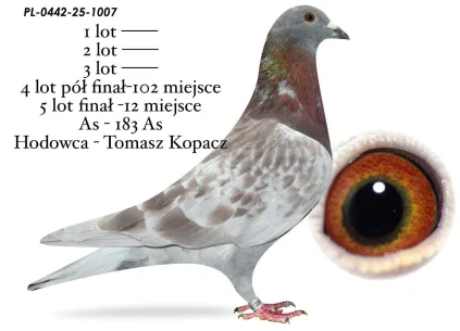 12 m,/ FINAŁ TOMASZ KOPACZ PL-0442-25-1007